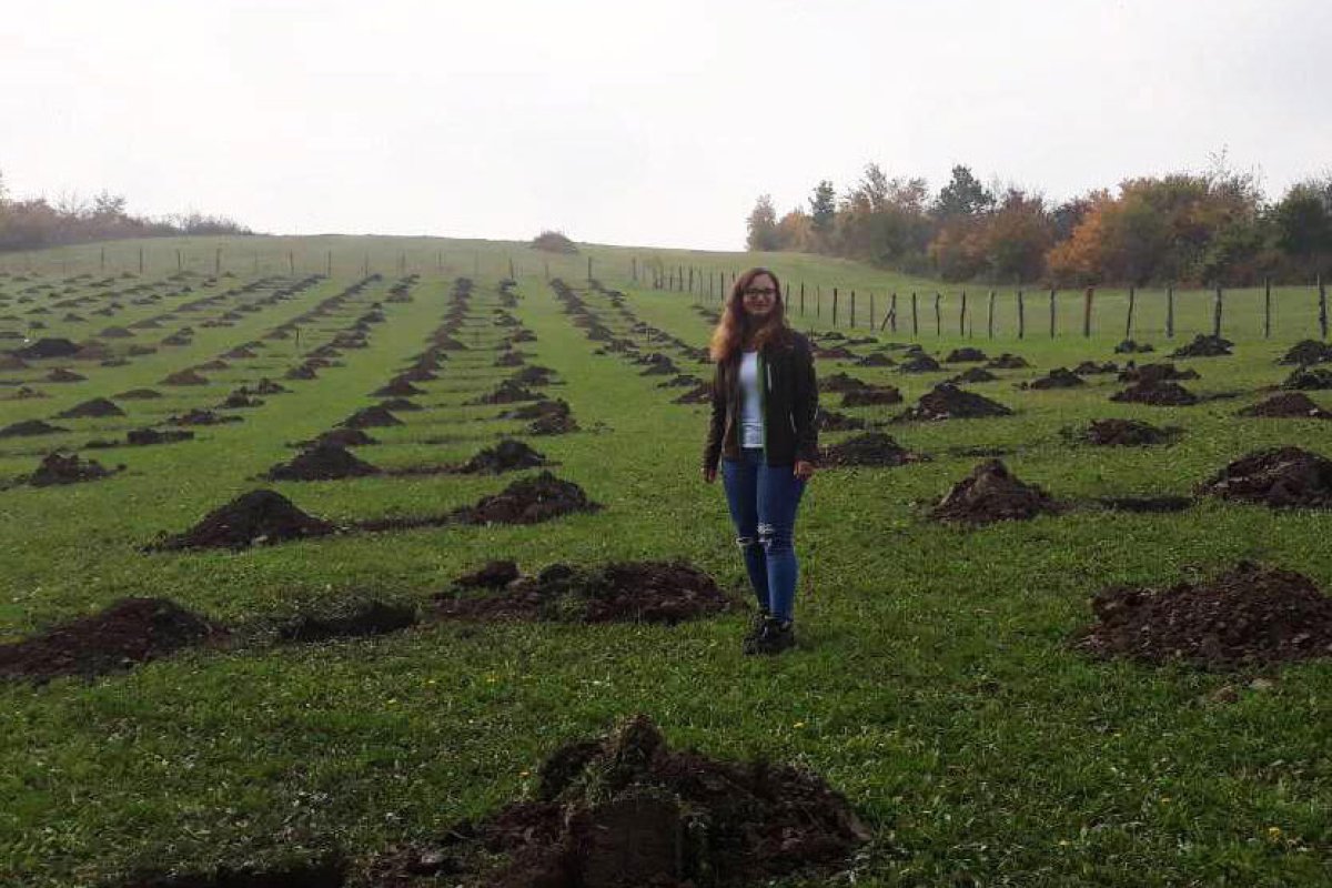 Priča Ene Zolić inspiriše: Vratila se iz Njemačke i podigla plantažu lješnika