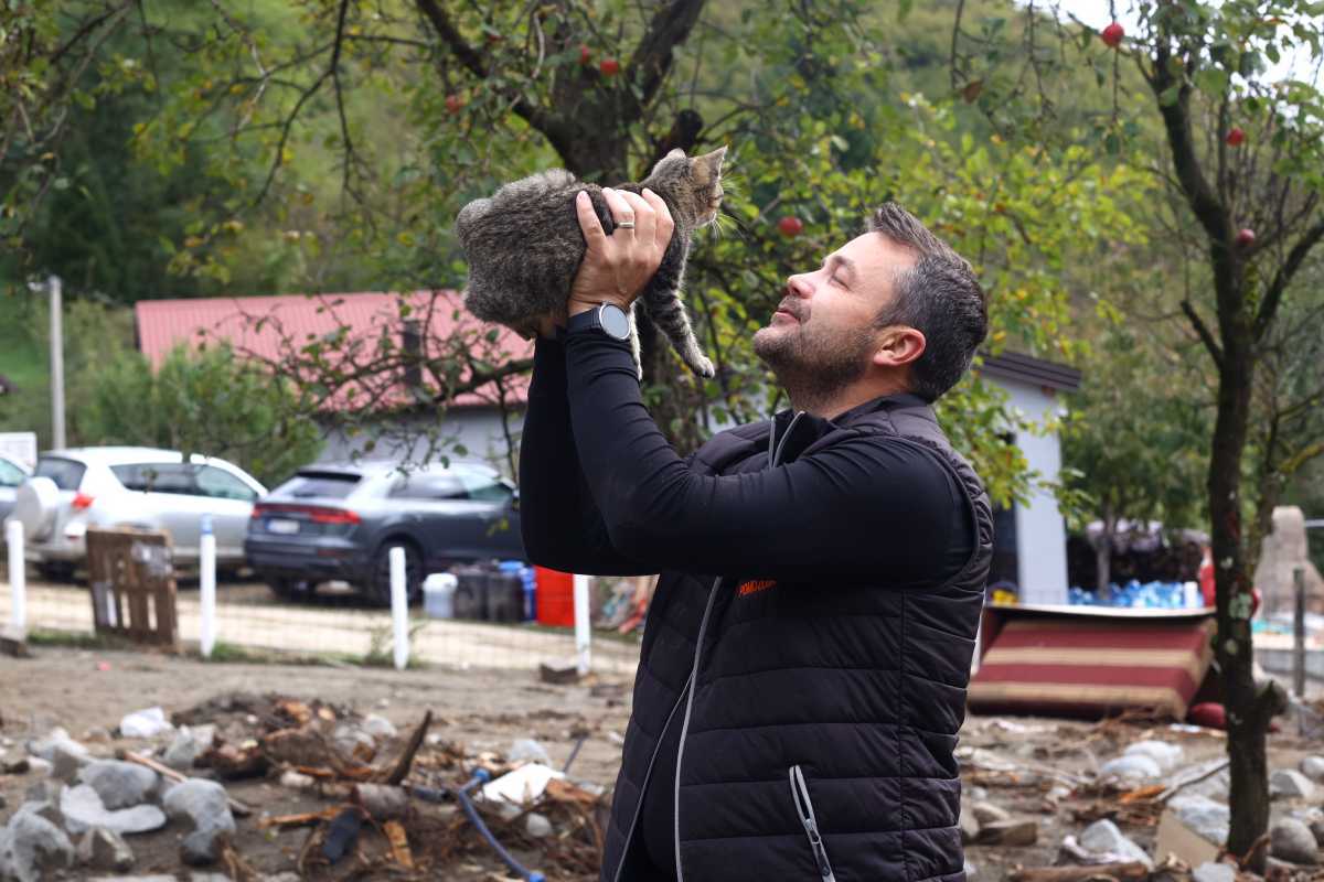 Prijateljstvo na prvi pogled: Maca preživjela bujične poplave u Jablanici. Bit će udomljena